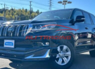 TOYOTA LANDCRUISER TX-L