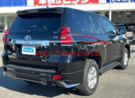 TOYOTA LANDCRUISER TX-L
