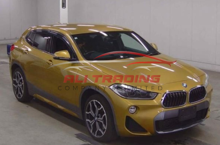 BMW X2 xDrive 20i M Sport X
