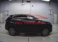 Lexus NX200 I Package