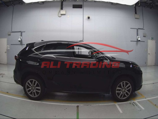 Lexus NX200 I Package
