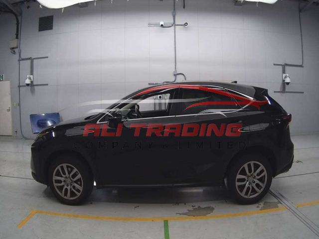 Lexus NX200 I Package
