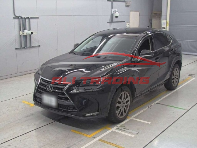 Lexus NX200 I Package