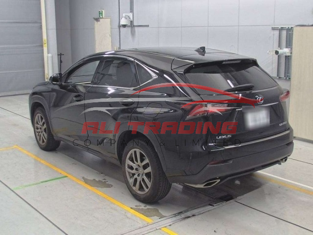 Lexus NX200 I Package