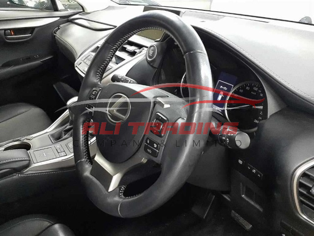 Lexus NX200 I Package