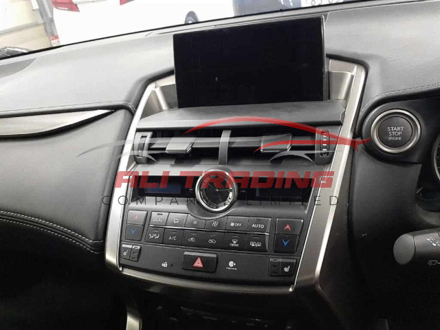 Lexus NX200 I Package