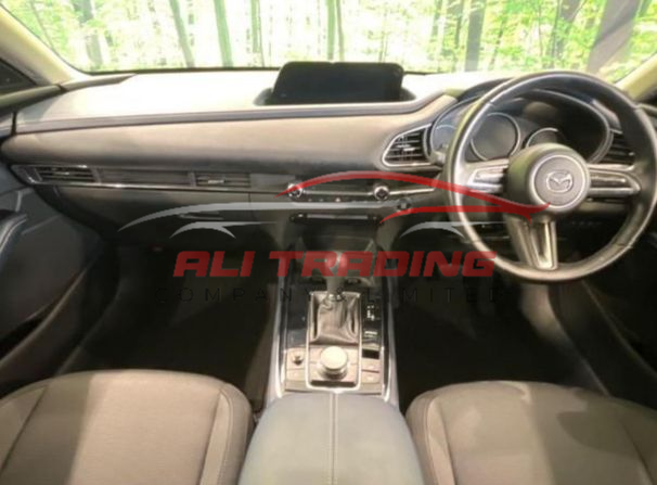 Mazda CX-30 20S Proactive Touring