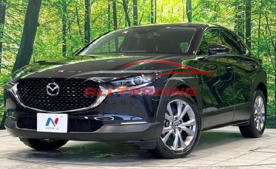 Mazda CX-30 20S Proactive Touring