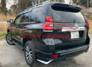 Toyota LandCruiser TX-L 4WD Modelista